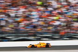 Fernando Alonso, Andretti Autosport Honda