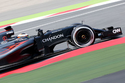 Стофель Вандорн, тестовый и резервный пилот McLaren MP4-31