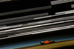Stoffel Vandoorne, McLaren MCL33 Renault