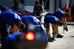 Toro Rosso mekanikerleri