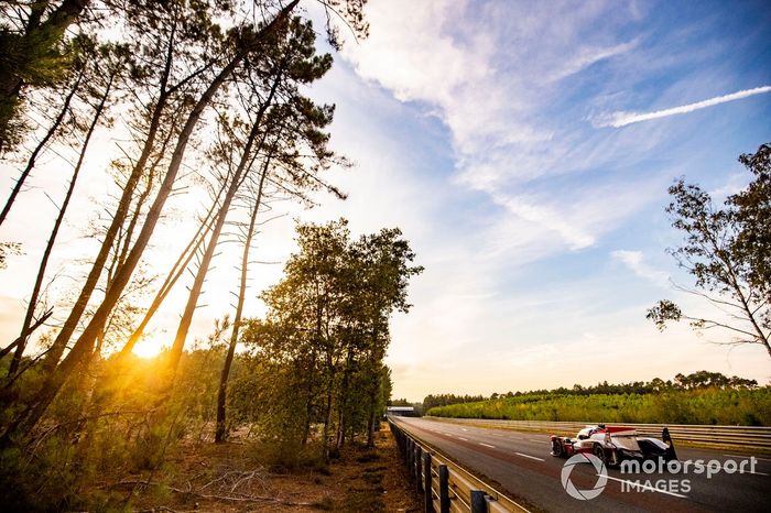 #7 Toyota Gazoo Racing Toyota TS050: Mike Conway, Kamui Kobayashi, Jose Maria Lopez