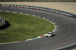 Alex Zanardi, Roal Motorsport