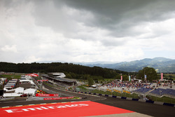 Fernando Alonso, McLaren MP4-31