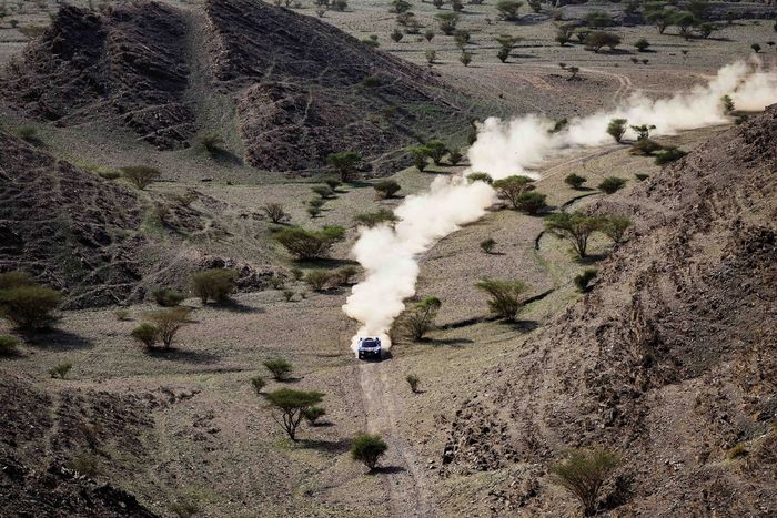 #225 Ford M-Sport Ford: Carlos Sainz, Lucas Cruz