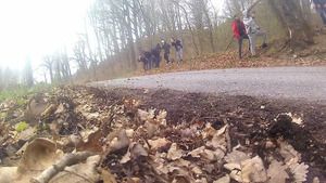 Kalle Rovanpera i Jonne Halttunen - Testy przed Rajdem Chorwacji