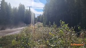 Testy przed Rajdem Nowej Zelandii 2022 - Ott Tanak