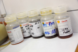 Shell, Öl- und Benzin-Test-Set