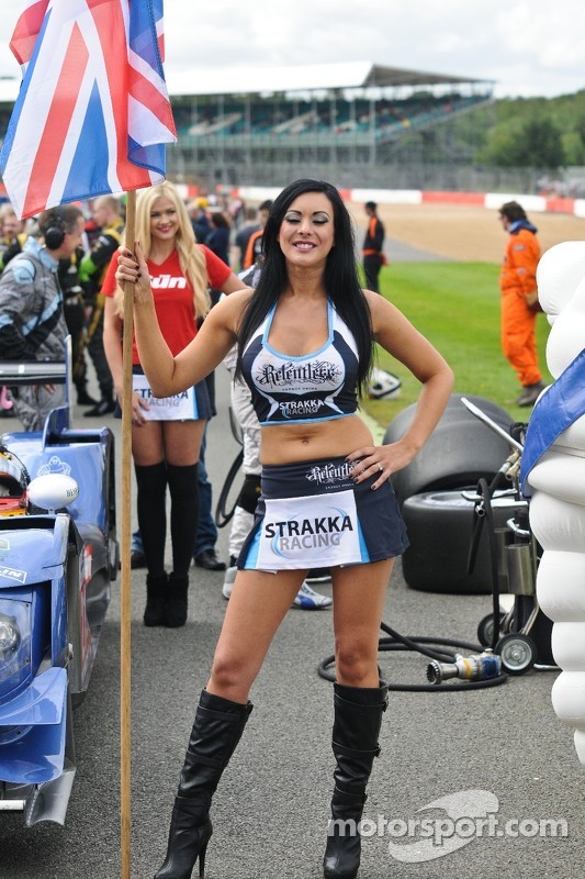 Grid Girl At Silverstone