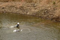 Choque de Ott Tanak y Molder Raigo, M-Sport Ford Fiesta WRC