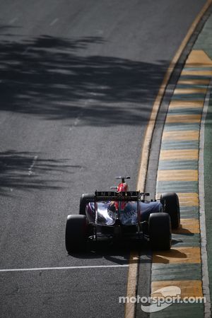 Daniel Ricciardo, Red Bull Racing RB11