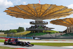 Max Verstappen, Scuderia Toro Rosso STR10