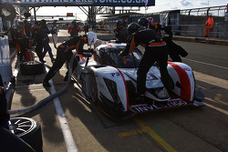 #3 Team LNT Ginetta-尼桑: Chris Hoy, Charles Robertson