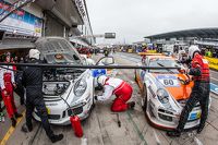 Prosport Performance