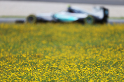 Nico Rosberg, Mercedes AMG F1 W06
