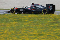 Фернандо Алонсо, McLaren MP4-30