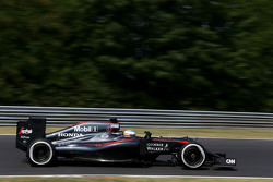 Fernando Alonso, McLaren Honda