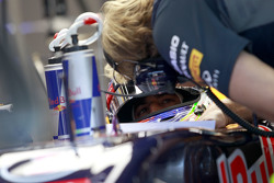 Даниэль Риккардо, Red Bull Racing RB11