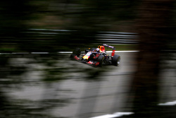 Daniel Ricciardo, Red Bull Racing RB11
