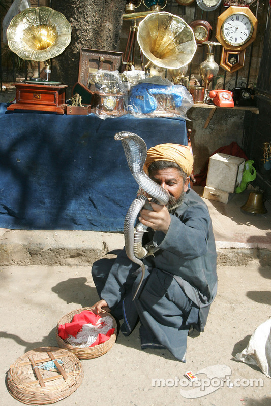 A snake charmer with a King Cobra