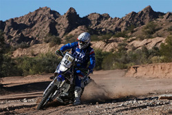 #42 Yamaha: Adrien van Beveren