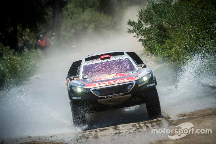 #321 Peugeot: Cyril Despres, David Castera