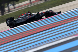 Stoffel Vandoorne, McLaren MP4-30