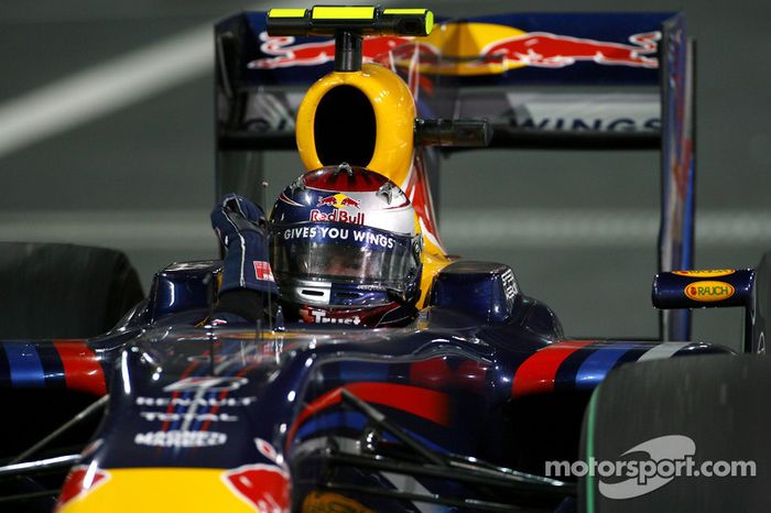 Race winner Sebastian Vettel, Red Bull Racing, celebrates