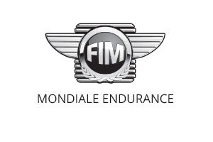 FIM Endurance